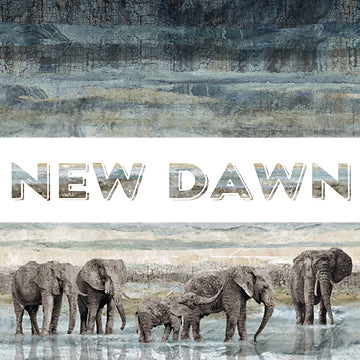 New Dawn