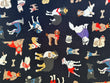 Novelty Splash Fabric It’s a dog’s life, enjoy it! Eco cotton! 43”