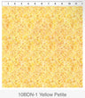 10BDN-1 Yellow-Petite in the beginnings by Jason yenter | Blooming night and day