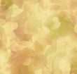 Aura Old Gold 45”QT fabrics