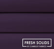 Amethyst deep purple Camelot fresh solid