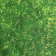 Evergreen radiance
