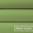 Camelot fresh solids  Pistachio medium green