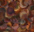 Serendipity Rust Abstract Wide 108” Backing fabric earth tone colors orange reds burgundy browns 6 shades