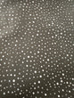 Camelot Black Dotties wide Backing 108”