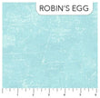 Robin’s Egg Blue Canvas
