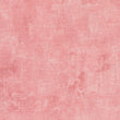 Powder pink Canvas