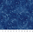 Polar Frost Dark Starry Night