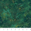 Spruce Chroma