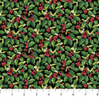 Black Holly